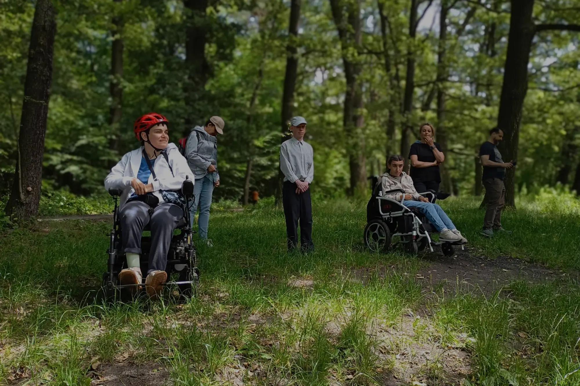 a background for the entire section showing people walking in the forest